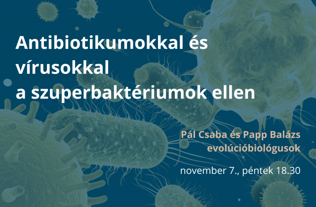 Antibiotikumokkal és vírusokkal a szuperbaktériumok ellen